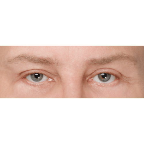 Daria1B-58233-aspect-ratio-500-500