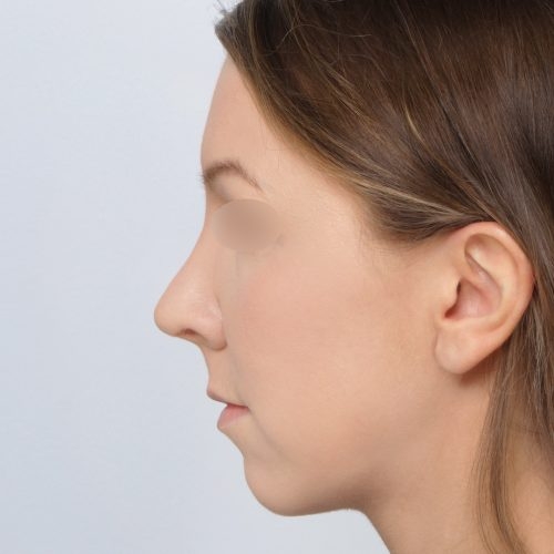 Daria4B-58373-aspect-ratio-500-500