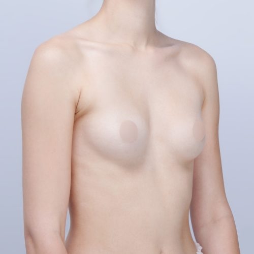 Daria11A-1-aspect-ratio-500-500