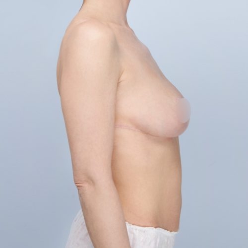 Daria1B-3-aspect-ratio-500-500