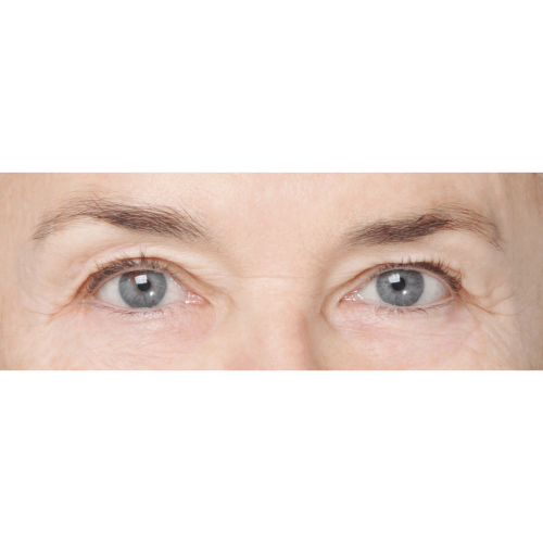 Daria3A-61202-aspect-ratio-500-500