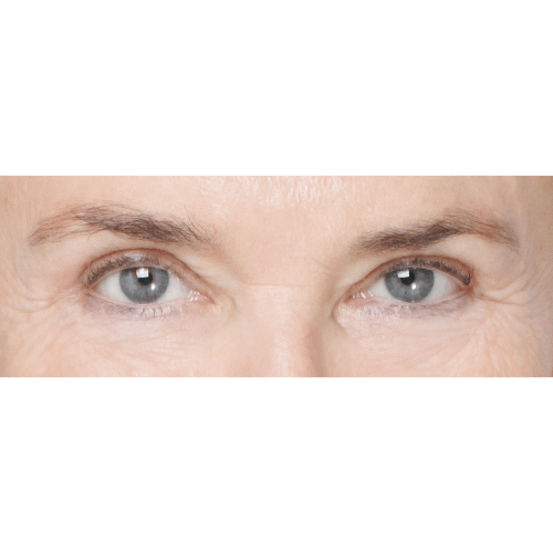 Daria3B-61202-aspect-ratio-500-500