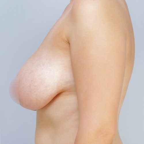 Daria4A-2-aspect-ratio-500-500