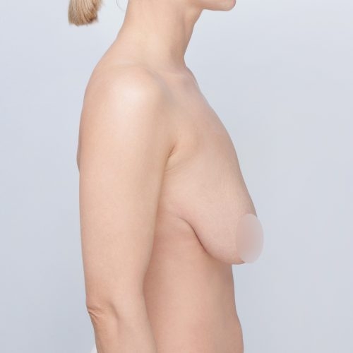 Daria6A-59675-1-aspect-ratio-500-500