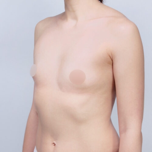 daria-piersi-id62057-30c-aspect-ratio-500-500