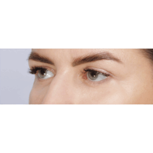 daria1b-56139-aspect-ratio-500-500