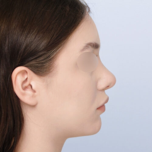 daria7b-56872-aspect-ratio-500-500