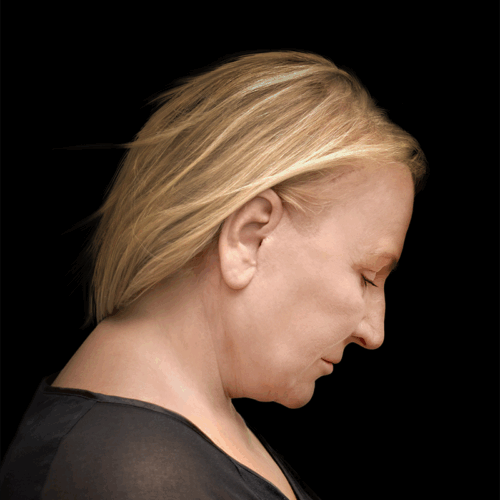 dpfl1d-aspect-ratio-500-500